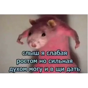 Ха — стикер для MAX