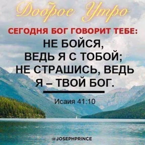 Мои — стикер для MAX