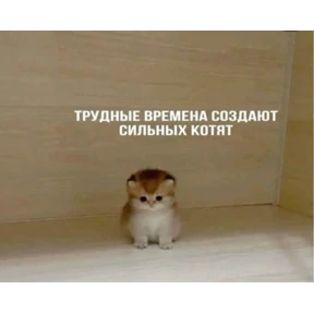 pox — стикер для MAX