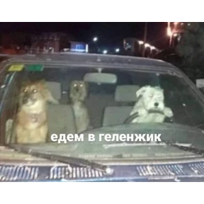 pox — стикер для MAX