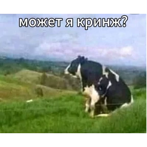 pox — стикер для MAX