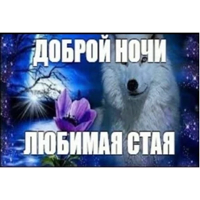 pox — стикер для MAX