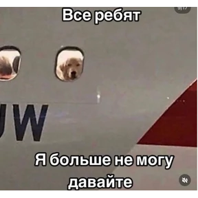 pox — стикер для MAX