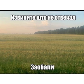 pox — стикер для MAX