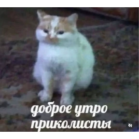 pox — стикер для MAX