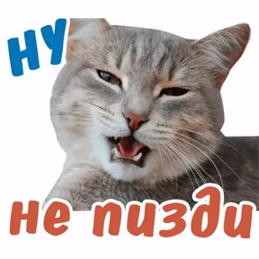 Не для всех — стикер для MAX