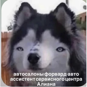 pox — стикер для MAX