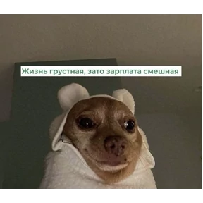 Стикеры 4 — стикер для MAX