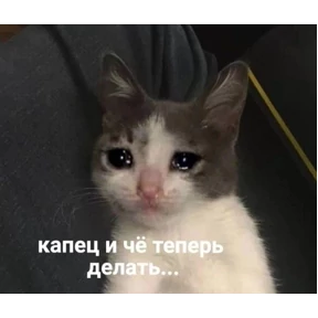 Стикеры 4 — стикер для MAX