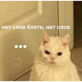 Стикеры 4 — стикер для MAX