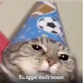 Стикеры 4 — стикер для MAX
