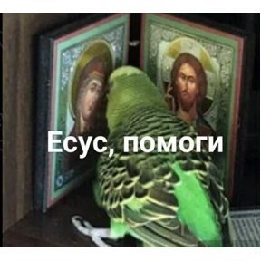 Тчк — стикер для MAX