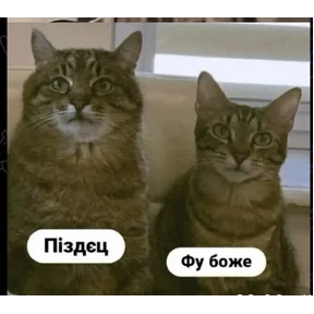 Тчк — стикер для MAX