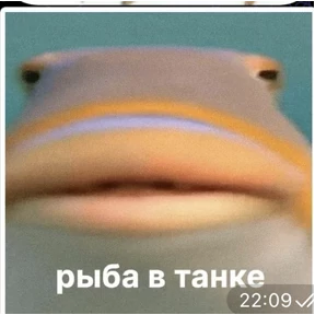 Тчк — стикер для MAX