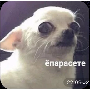 Тчк — стикер для MAX