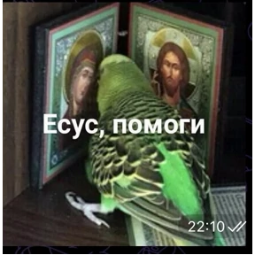 Тчк — стикер для MAX
