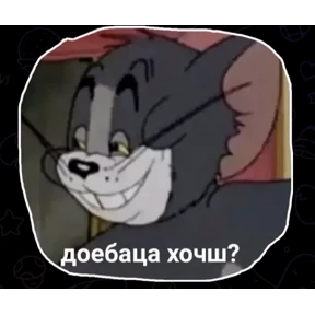 стикосы — стикер для MAX