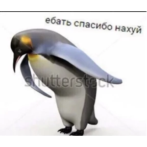 стикосы — стикер для MAX