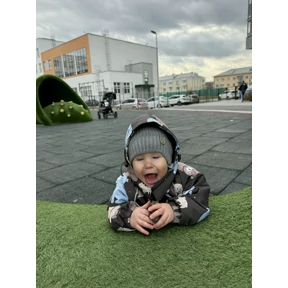 Лев — стикер для MAX