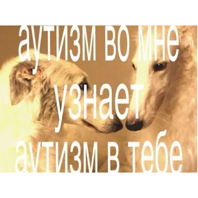 Ни#уя а где Буда — стикер для MAX
