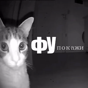 Для важных переговоров — стикер для MAX