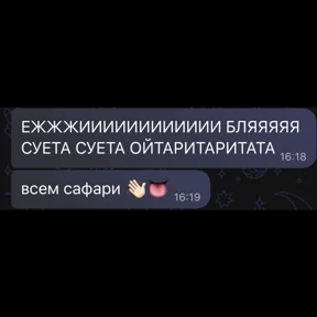 Львята — стикер для MAX
