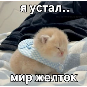 Коты — стикер для MAX