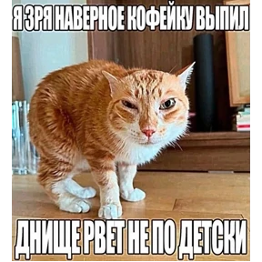 Егорик — стикер для MAX