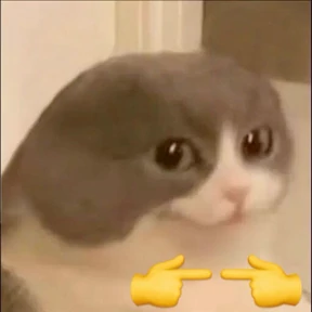 Коты — стикер для MAX