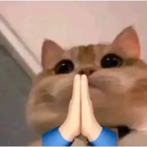 Коты — стикер для MAX