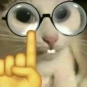 Коты — стикер для MAX