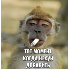 Приколы — стикер для MAX