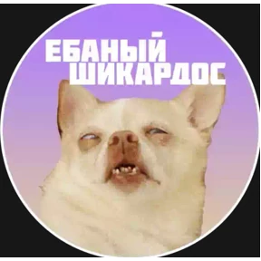 Приколы — стикер для MAX