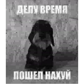 Проверочный — стикер для MAX