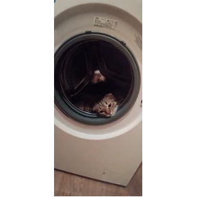 ДыМоК — стикер для MAX