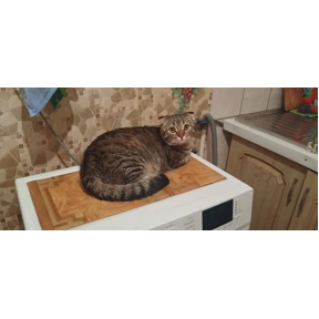 ДыМоК — стикер для MAX