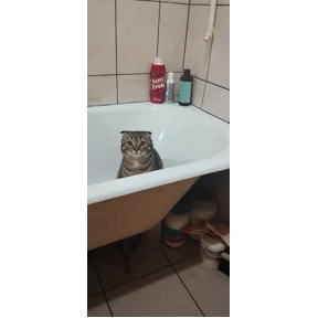 ДыМоК — стикер для MAX