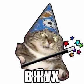 котики — стикер для MAX