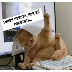 котики — стикер для MAX