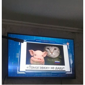 Проверочный — стикер для MAX