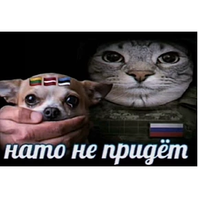 Проверочный — стикер для MAX