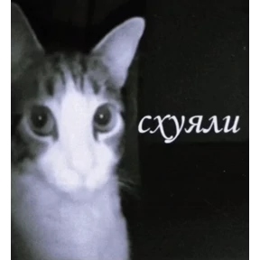 Проверочный — стикер для MAX