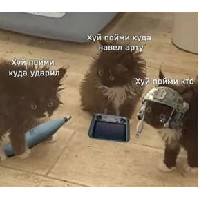 Проверочный — стикер для MAX