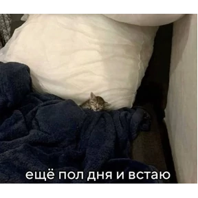 мемсовет — стикер для MAX