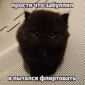 мемсовет — стикер для MAX