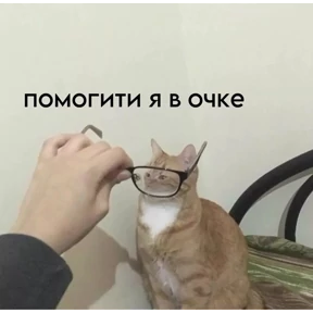 котики — стикер для MAX