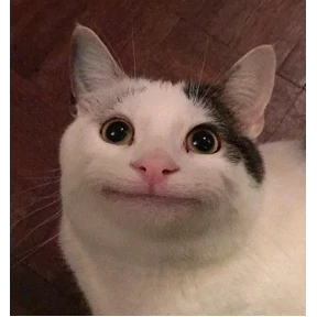 котики — стикер для MAX