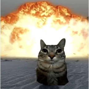 котики — стикер для MAX