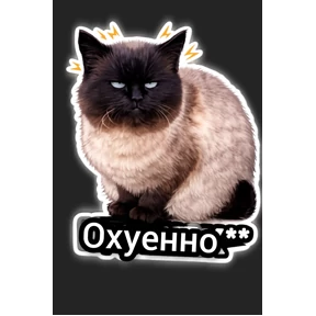 Коты — стикер для MAX