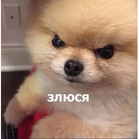 Мяски колбаски — стикер для MAX